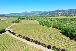 Agriculture,  W Soda Rock lane, Healdsburg, CA 95448 - 20