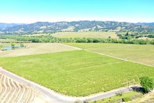 Agriculture,  W Soda Rock lane, Healdsburg, CA 95448 - 15