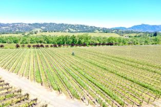 Agriculture,  W Soda Rock lane, Healdsburg, CA 95448 - 25