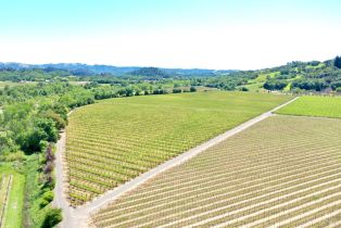 Agriculture,  W Soda Rock lane, Healdsburg, CA 95448 - 21