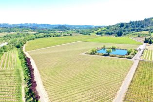 Agriculture,  W Soda Rock lane, Healdsburg, CA 95448 - 28