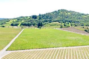 Agriculture,  W Soda Rock lane, Healdsburg, CA 95448 - 31