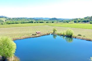 Agriculture,  W Soda Rock lane, Healdsburg, CA 95448 - 24