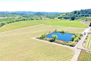 Agriculture,  W Soda Rock lane, Healdsburg, CA 95448 - 29