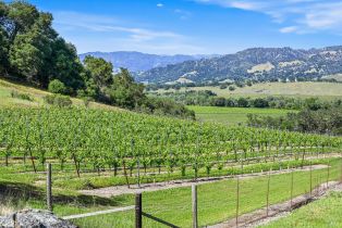 Single Family Residence,  W Soda Rock lane, Healdsburg, CA 94558 - 84
