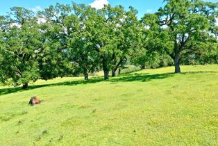 Single Family Residence,  W Soda Rock lane, Healdsburg, CA 94558 - 76