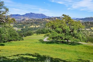 Single Family Residence,  W Soda Rock lane, Healdsburg, CA 94558 - 82