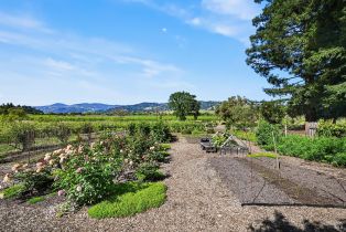 Single Family Residence,  W Soda Rock lane, Healdsburg, CA 94558 - 90