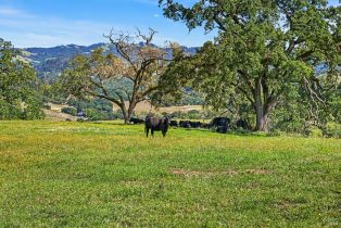 Single Family Residence,  W Soda Rock lane, Healdsburg, CA 94558 - 14