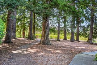 Single Family Residence,  W Soda Rock lane, Healdsburg, CA 94558 - 87