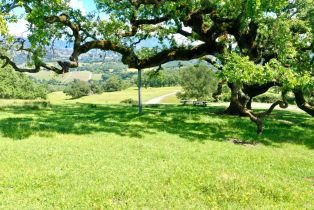 Single Family Residence,  W Soda Rock lane, Healdsburg, CA 94558 - 66