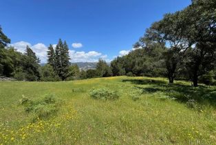 Single Family Residence,  W Soda Rock lane, Healdsburg, CA 94558 - 18