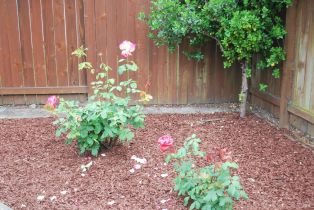 Single Family Residence, Capistrano drive, Petaluma, CA 94954 - 37
