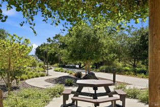 Single Family Residence,  Edith street, Petaluma, CA 94952 - 38