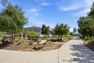Single Family Residence,  Edith street, Petaluma, CA 94952 - 36
