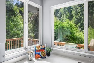 Single Family Residence,  Austin Creek road, Russian River, CA 95421 - 29