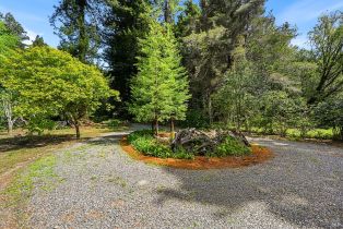 Single Family Residence,  Austin Creek road, Russian River, CA 95421 - 50