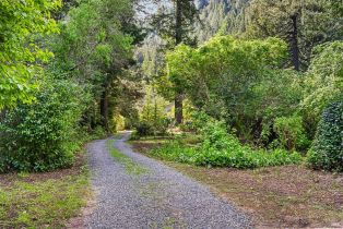 Single Family Residence,  Austin Creek road, Russian River, CA 95421 - 7
