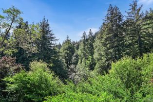 Single Family Residence,  Austin Creek road, Russian River, CA 95421 - 16