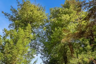 Single Family Residence,  Austin Creek road, Russian River, CA 95421 - 10