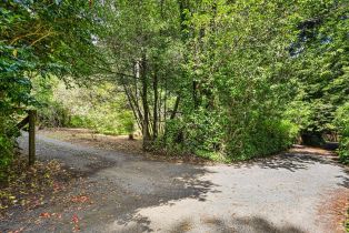 Single Family Residence,  Austin Creek road, Russian River, CA 95421 - 6