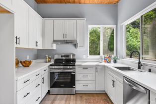 Single Family Residence,  Austin Creek road, Russian River, CA 95421 - 27