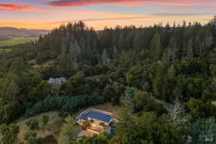 Single Family Residence,  Dry Creek road, Healdsburg, CA 95448 - 3
