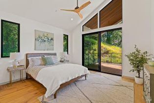 Single Family Residence,  Dry Creek road, Healdsburg, CA 95448 - 77