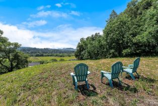 Single Family Residence,  Dry Creek road, Healdsburg, CA 95448 - 8