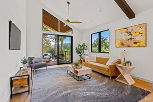 Single Family Residence,  Dry Creek road, Healdsburg, CA 95448 - 73