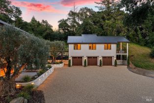 Single Family Residence,  Dry Creek road, Healdsburg, CA 95448 - 6