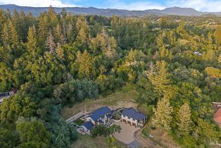 Single Family Residence,  Dry Creek road, Healdsburg, CA 95448 - 81