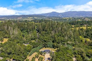 Single Family Residence,  Dry Creek road, Healdsburg, CA 95448 - 82