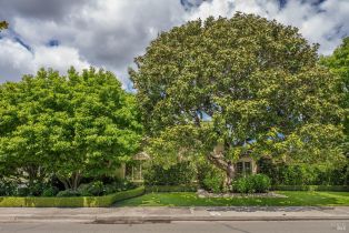 Single Family Residence,  4th street, Sonoma, CA 95476 - 3