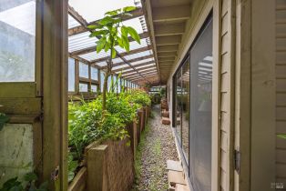 Residential Income,  Gold Ridge road, Sebastopol, CA 95472 - 30