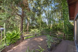 Residential Income,  Gold Ridge road, Sebastopol, CA 95472 - 40