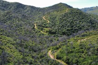 Agriculture,  Highway 128 highway, Napa, CA 94558 - 3