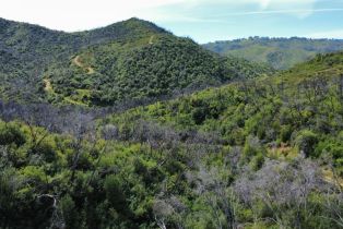 Agriculture,  Highway 128 highway, Napa, CA 94558 - 12