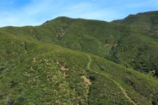 Agriculture,  Highway 128 highway, Napa, CA 94558 - 13