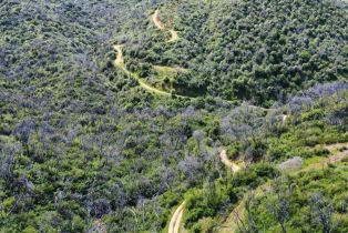 Agriculture,  Highway 128 highway, Napa, CA 94558 - 10