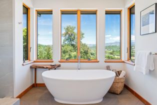 Single Family Residence,  Mountain View Ranch road, Healdsburg, CA 95448 - 25