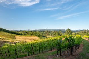 Single Family Residence,  Mountain View Ranch road, Healdsburg, CA 95448 - 46