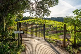 Single Family Residence,  Mountain View Ranch road, Healdsburg, CA 95448 - 65