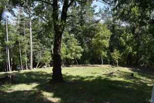 Residential Lot,  Riverview drive, Healdsburg, CA 95448 - 2