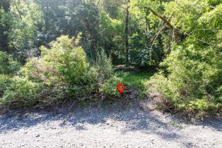 Residential Lot,  Riverview drive, Healdsburg, CA 95448 - 15