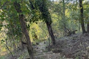 Residential Lot,  Riverview drive, Healdsburg, CA 95448 - 11