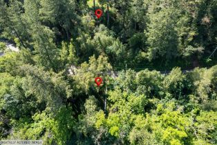 Residential Lot,  Riverview drive, Healdsburg, CA 95448 - 16