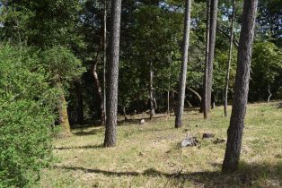 Residential Lot,  Riverview drive, Healdsburg, CA 95448 - 8