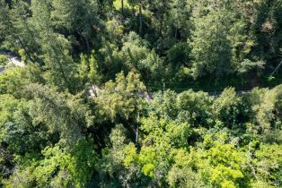 Residential Lot,  Riverview drive, Healdsburg, CA 95448 - 22