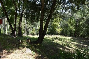 Residential Lot,  Riverview drive, Healdsburg, CA 95448 - 5